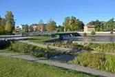 Laxtrappa vid Slussparken. 2016-10-06