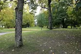 Vy från Örebro Stadspark. 2016-10-03