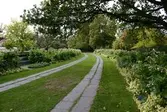 Stenlagda gångar i Örebro Stadspark. 2016-10-03