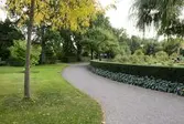 Grusat gångstråk i Örebro Stadspark. 2016-10-03