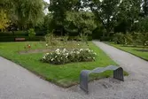 Rosor och sittbänk i Örebro Stadspark. 2016-10-03