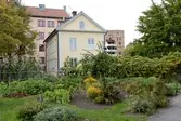 Köksträdgård. Örebro Stadsträdgård. 2016-10-03