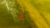Ett timmer nedkilad i sedimenten. Den röda pilen markerar hålet.