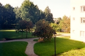 Utanför Skäpplandsgården, 1993