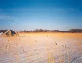 Tursten i Ollebergsviken, 1983