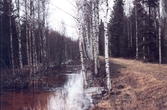 Vadsbrograven vid Kilsmo, 1984