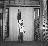 Västerås.
Gymnastikgruppen 