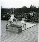 Västerås, Vallby.
Gymnastikuppvisning på Vallby friluftsmuseum, juli 1946.