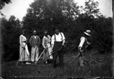 Fem personer räfsar hö på en äng. Mannen till vänster med händerna i byxfickorna kan vara Birger Westergren.
