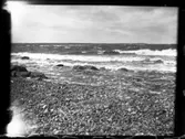 Strand vid havet, troligtvis på Limön, Gästrikland.