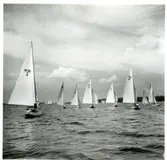 Västerås.
Regatta på Mälaren 1947.