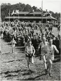 Västerås, Vallby.
Löpning vid Vallby friluftsmuseum, 1950.