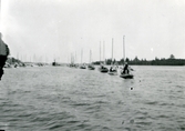Mälaren.
Segelbåtar på rad på Mälaren. 1912.