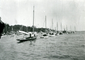 Mälaren.
Segelbåtar på rad på Mälaren. 1912.