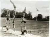 Västerås. 
En grupp gymnaster utför övningar på Idrottsplatsen bred vid Herrgärdsskolan. 1940-tal.