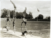 Västerås. 
En grupp gymnaster utför övningar på Idrottsplatsen bred vid Herrgärdsskolan. 1940-tal.