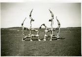 Västerås. 
En grupp gymnaster i en gymnastisk formation, 1940-tal.