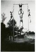 Västerås. 
En grupp gymnaster i redskap, 1940-tal.