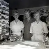 Familjen Blomgrens kiosk.