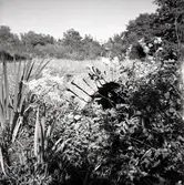 Stenbro i Södra Sörby.