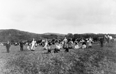 Mjölkerskor på Torstorps gård står uppställda med sina mjölkhinkar ute bland kossorna i beteshagen. Fyra barn sitter i förgrunden och några män finns också i bild. Till höger står ett par förspända hästar med kusk och vagn.