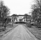 Mangårdsbyggnaden på godset Torstorp i Grimeton, sedd från entrésidan med uppfarten och gårdsrundeln. Allén längs vägen har precis beskurits så det ligger rishögar mellan träden.