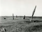 Gravfält från järnåldern på Jättehägen i Backa nr 10, Värö.