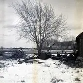 Alf Fredrikssons gård i Trosnäs.