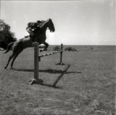 Petrus Kastenman, rider remonter på Ottenby.