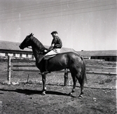 Petrus Kastenman rider remonter på Ottenby.