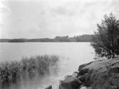 Vårdnäs 1903