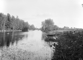 Vårdnäs 1904