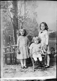 Ateljéporträtt - barn till Johan Söderberg från Östhammar, Uppland 1921