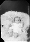 Ateljéporträtt - barn till Sally Forslöw från Östhammar, Uppland 1921