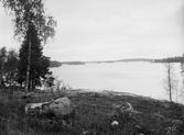 Vårdnäs 1903