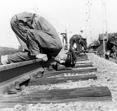 Banarbetare, 1950-tal