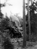 Junker jägares sten i Tiveden, 1986