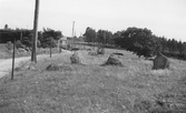 Stensättning vid byvägen i Apelröd, Onsala. (Se även bildnr E7023)