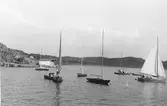 Olika typer av segelbåtar på vattnet i Sörvik, Särö. Bergen kantar havsviken och till vänster ses bryggor och några bodar.