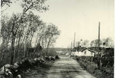 Landsvägen vid Nyhaga i Vallda med ett bostadshus till höger. Längs vägen står telefonstilpar.