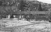 Långsträckt gårdslänga i Anneberg, söder om järnvägsstationen. I förgrunden fruktträd och bakom huset reser sig ett berg.
