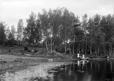 Sjövik 1903