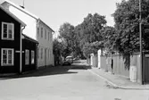 Västerlånggatan. Fastigheter i kv Alen, Asken, Flädern och Enen.