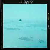 540/16 SAAB Saab-viggen Flygfoto, viggen i action för Know How II