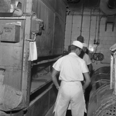 Värmeböljan rena svalkan. På jobbet har vi 50 grader. 
15 juli 1959.