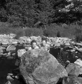 Rekordlågt vatten i Svartån. 
20 juli 1959.