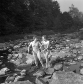 Rekordlågt vatten i Svartån. 
20 juli 1959.