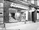 Löfbergs Blomsterhandel, Fleminggatan 33 exteriör och interiör