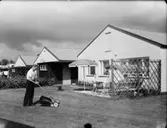 AB Ytonghus, radhusområde Tranemo exteriör och interiör