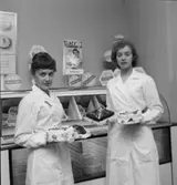 Glace-Bolaget: bilder för kundtidning, flicka med tårtor, d:o med skyltmaterial, ny bil, frysbox